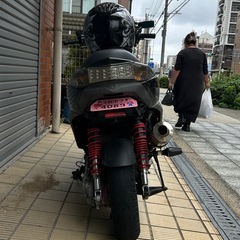 シグナス3型　の画像