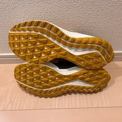 Gyakusou Nike Air Zoom Pegasus 36 Trailの画像