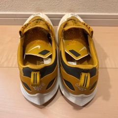 Gyakusou Nike Air Zoom Pegasus 36 Trailの画像