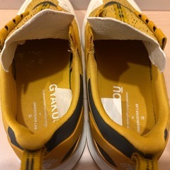 Gyakusou Nike Air Zoom Pegasus 36 Trailの画像