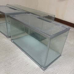水槽　3つまとめて、28日までに引取可能な方の画像