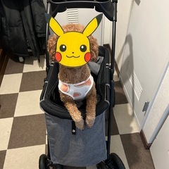 【中古】ペットカートの画像