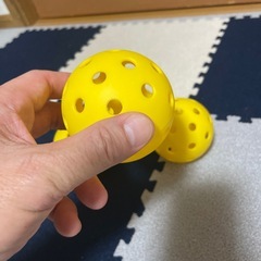 pickleball 練習用ボールの画像