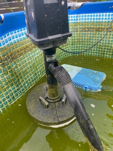 富士 SFR TW-522 中古 錦鯉　ポンプ