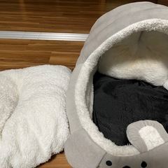 猫ドーム
の画像
