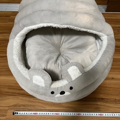 猫ドーム
の画像