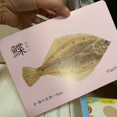 家庭保育園　たのしい絵カード1500の画像