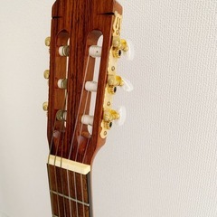 ギターAluarez モデルAC60Sの画像