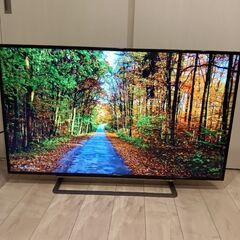 液晶テレビ　４９インチ　49G20X REGZA　４K Netflixの画像