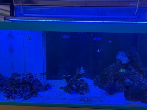 90cmオーバフローアクリル水槽、濾過層付きキャビネット、海水魚、らいぶろっく、ライブロック