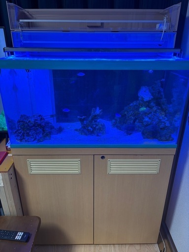 90cmオーバフローアクリル水槽、濾過層付きキャビネット、海水魚、らいぶろっく、ライブロック