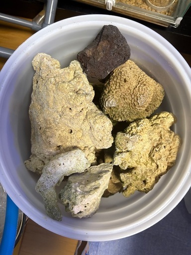 90cmオーバフローアクリル水槽、濾過層付きキャビネット、海水魚、らいぶろっく、ライブロック