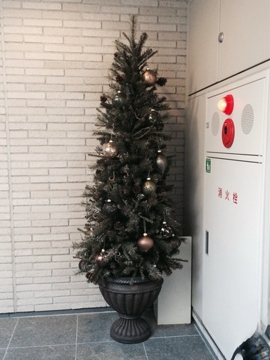 クリスマスツリー