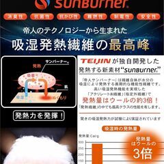 2枚セット 冬用枕パッド 帝人吸湿発熱最高峰 45×65cm の画像