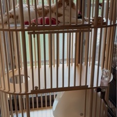 猫ケージ キャットケージ 3段 112*56*157cm 木製 猫ハウス 大型 ペットケージ キャスター付きの画像