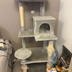 キャットタワー２つ（予定者決まりました）の画像