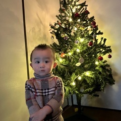 クリスマスツリー（約170cm）少しだけオーナメント付き 🎄 まだ綺麗ですの画像