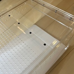 レプタイルボックス　アクリルケース　　　の画像