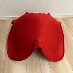 【お譲り先決定】姿勢サポート、スタイルスタンダード　の画像