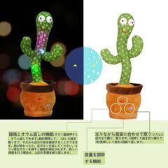 【取りに来てくれる方優先】サボテンおもちゃ Dancing Cactusの画像