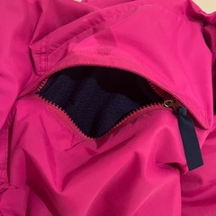 Patagoniaアウター　ジャケットの画像
