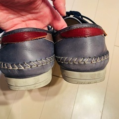 PIKOLINOS
の画像