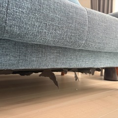 ソファ NOCE 2人用　ブルー の画像