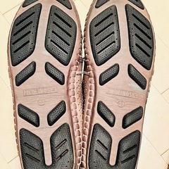 ピコリノスの画像