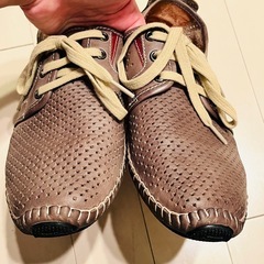 ピコリノスの画像