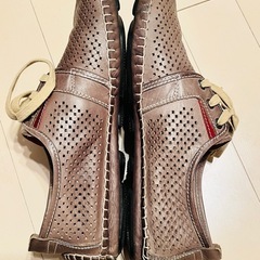 ピコリノスの画像