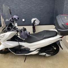 pcx150 の画像