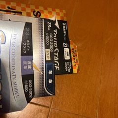 ゴルフボール、グローブほかの画像