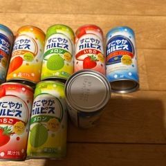 カルピス9本　2026.6までの消費期限の画像