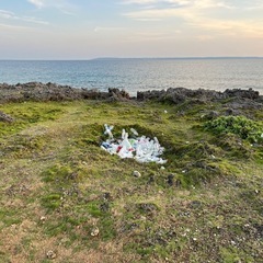 ビーチ清掃（サイズLL）の画像