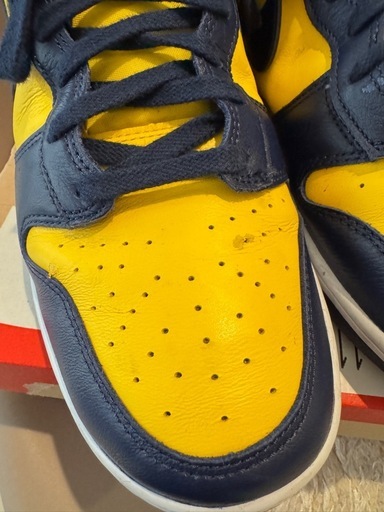 NIKE DUNK HI RETRO SE "Michigan" 美品✨