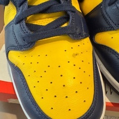 NIKE DUNK HI RETRO SE "Michigan" 美品✨の画像