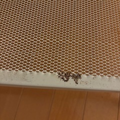 ラックの画像