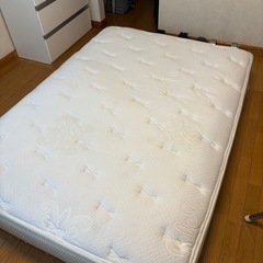 キングスダウン  レガリア  ダブルサイズの画像