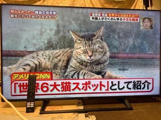 ハイセンス 50型 4Kチューナー内蔵液晶テレビ HDR対応 外付HDD録画 W録画 50E6000 