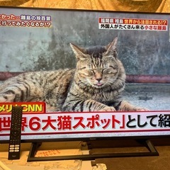 ハイセンス 50型 4Kチューナー内蔵液晶テレビ HDR対応 外付HDD録画 W録画 50E6000 の画像