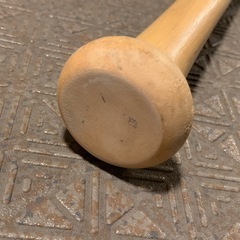 IGNIO イグニオ 子供用 木製バットの画像