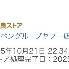 新品　コールマン(Coleman) 寝袋 シュラフ マルチレイヤースリーピングバッグの画像
