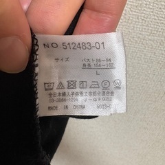 RIVIETTA しまむら ブラウスの画像