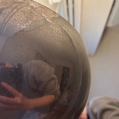 スタンドライトの画像