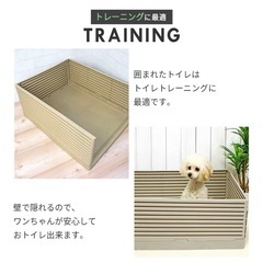 iDog HACK 愛犬のためのインテリアトイレ ΞLOUVER アイドッグ-ブラウンの画像