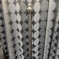 リトリとソニーの画像