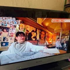 リトリとソニーの画像