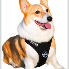 Mサイズ犬用ハーネス(未使用品)の画像