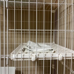 猫ケージの画像