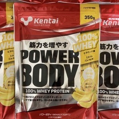 新品　ケンタイプロテイン　1ケース　　　　　　　　　　　　　　　　　新品ケンタイ　プロテイン　1ケース　12袋いり入りの画像